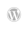 WordPress icon